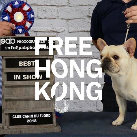 Meet your Posher, Andrew - Picture 1 of 1